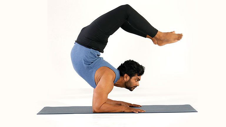 This Week In Nithya Priyan School of Yoga: Scorpion Pose — Nithya Priyan  School of Yoga