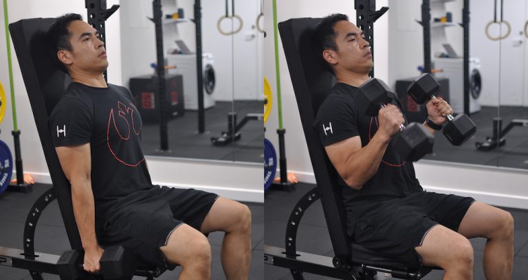 Seated Hammer Curls How To How Not To And Benefits This Is Why I M Fit