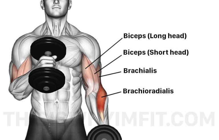 20 Hammer Curl Variations For Maximising Arm Mass - This Is Why I'm Fit