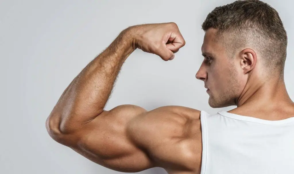 Arm Gains Ahead: Get Our Big Arms Workout Plan + PDF! - This Is Why I'm Fit